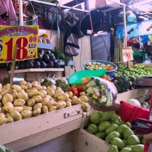 La inflación en México afecta menos a hogares con ingresos bajos, afirma el Inegi