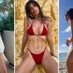 Qué fue de Emily Ratajkowsk